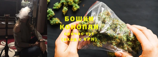 mdpv Инсар