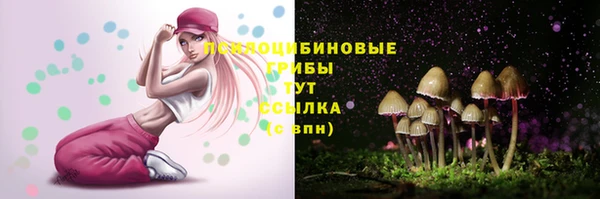 mdpv Инсар