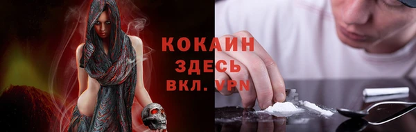 mdpv Инсар