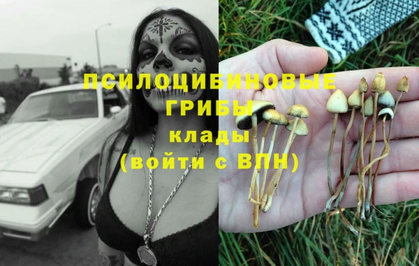 метадон Инта