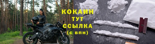 метадон Инта