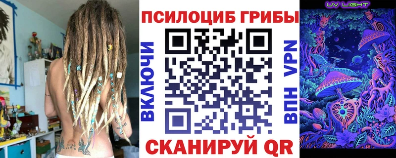 Псилоцибиновые грибы Psilocybe  даркнет сайт  маркетплейс клад  Псков 